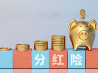 资本约束挤压转型空间 中小险企“祛魅”分红险